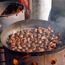 matthiasboeckel-chestnuts-3757271